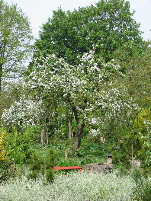 Im Garten des Nordkollegs